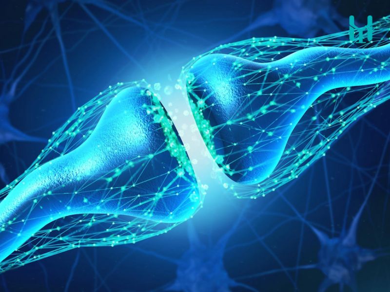 Sự mất cân bằng serotonin trong não